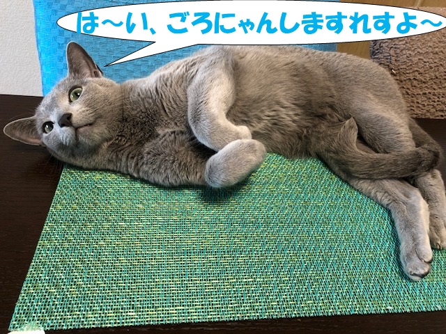 f:id:LoveRussianBlue:20190521222522j:plain
