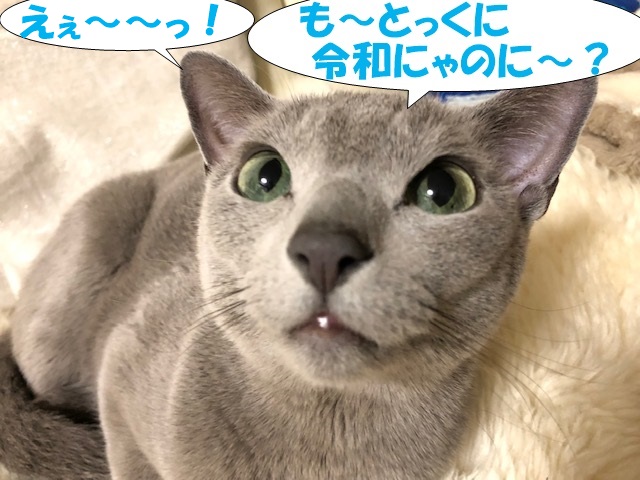 f:id:LoveRussianBlue:20190522002206j:plain