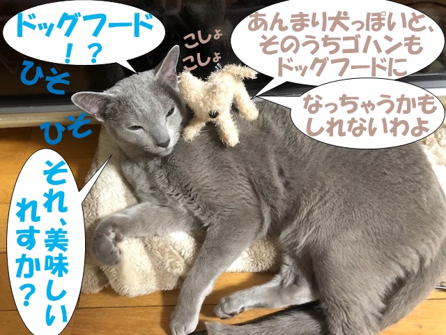 f:id:LoveRussianBlue:20190524175020j:plain