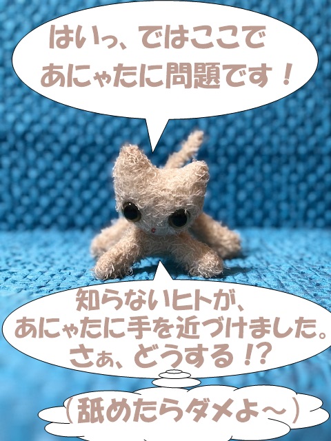 f:id:LoveRussianBlue:20190524202212j:plain