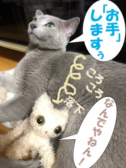 f:id:LoveRussianBlue:20190525023409j:plain