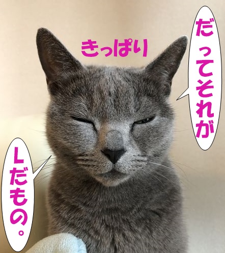 f:id:LoveRussianBlue:20190525024213j:plain