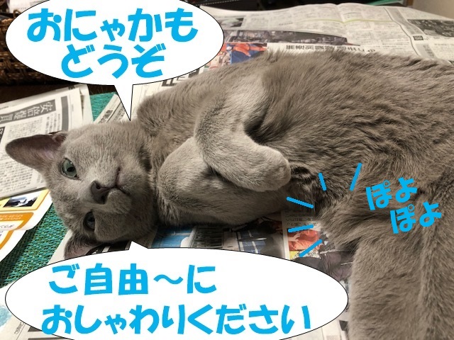 f:id:LoveRussianBlue:20190601160357j:plain