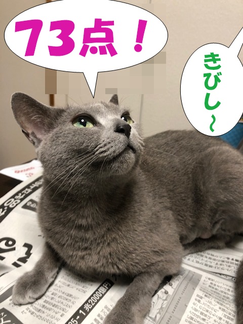f:id:LoveRussianBlue:20190601165642j:plain