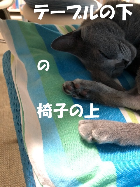 f:id:LoveRussianBlue:20190610225647j:plain