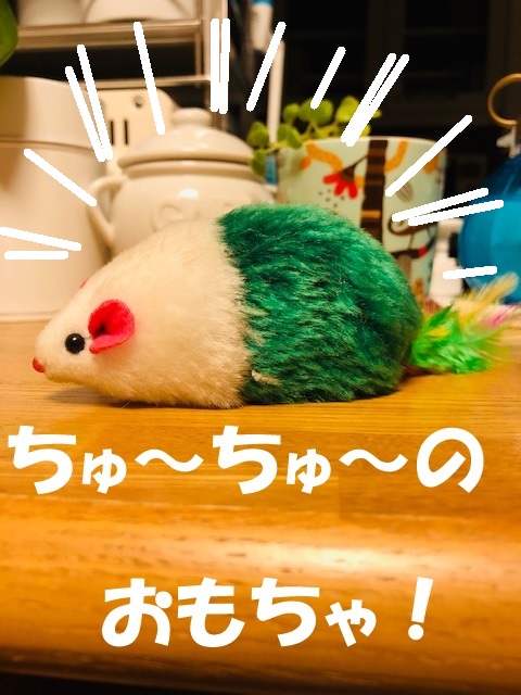 f:id:LoveRussianBlue:20190611005502j:plain