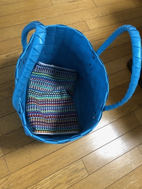 f:id:LoveRussianBlue:20190615202000j:plain