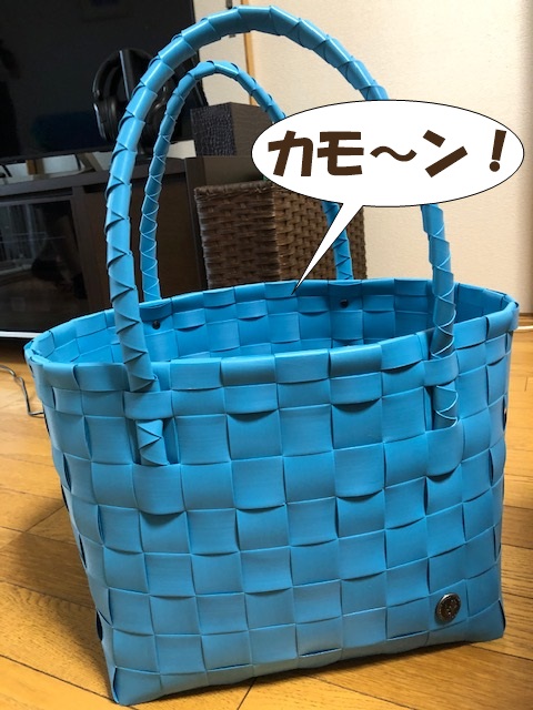 f:id:LoveRussianBlue:20190615202043j:plain