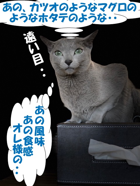f:id:LoveRussianBlue:20190617223512j:plain