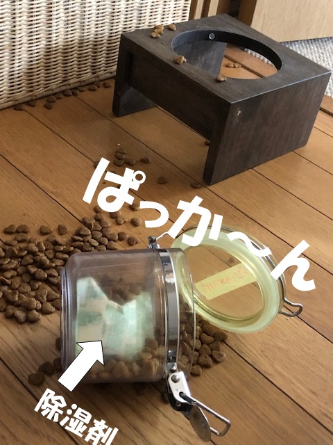 f:id:LoveRussianBlue:20190626173918j:plain