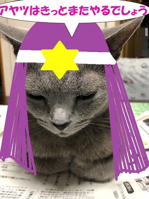 f:id:LoveRussianBlue:20190626175344j:plain