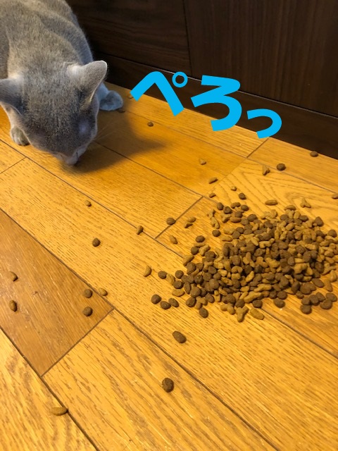 f:id:LoveRussianBlue:20190627162743j:plain