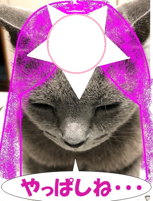 f:id:LoveRussianBlue:20190627171412j:plain