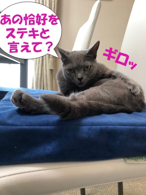 f:id:LoveRussianBlue:20190628230254j:plain