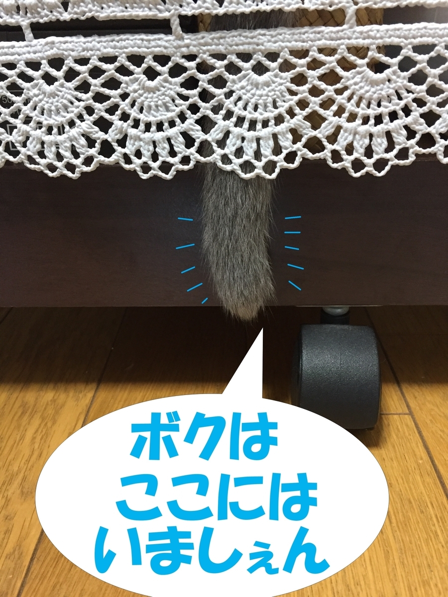 f:id:LoveRussianBlue:20190701154212j:plain
