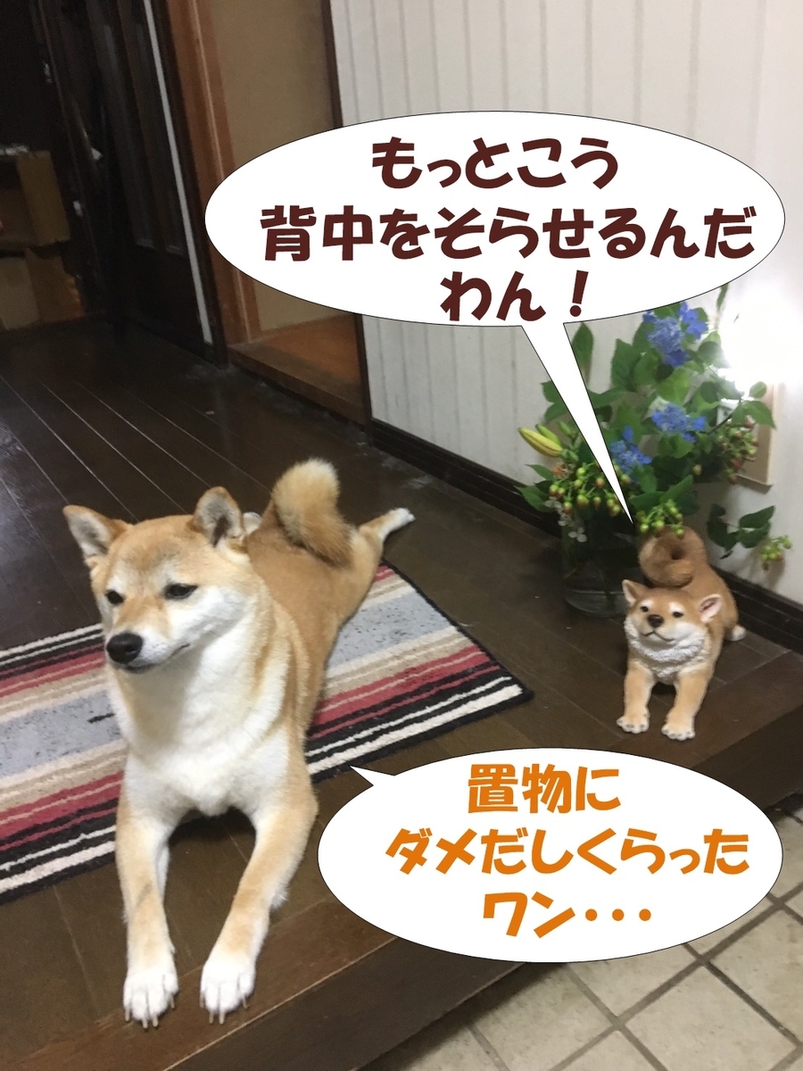 f:id:LoveRussianBlue:20190701215718j:plain