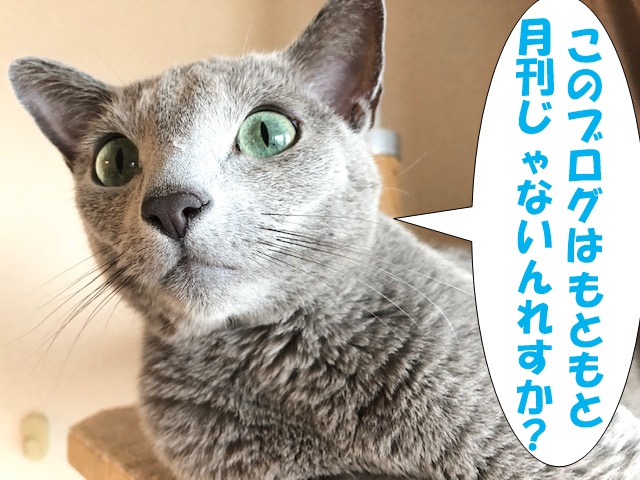 f:id:LoveRussianBlue:20200818211318j:plain
