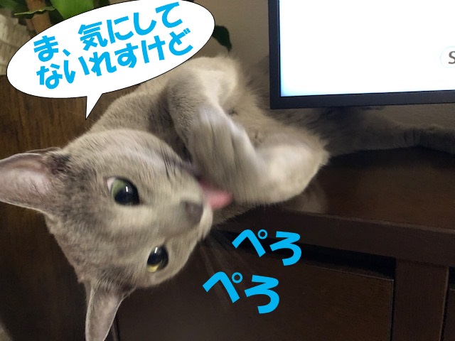 f:id:LoveRussianBlue:20200830230904j:plain