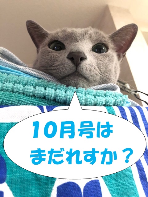 f:id:LoveRussianBlue:20201018230502j:plain