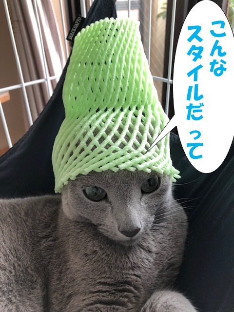 f:id:LoveRussianBlue:20201018234241j:plain