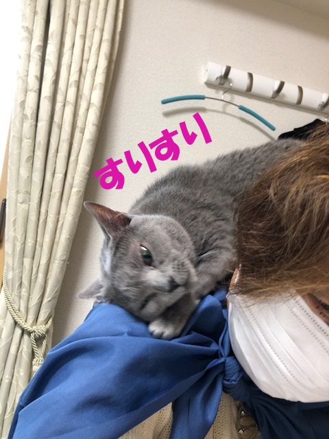 f:id:LoveRussianBlue:20201020222839j:plain