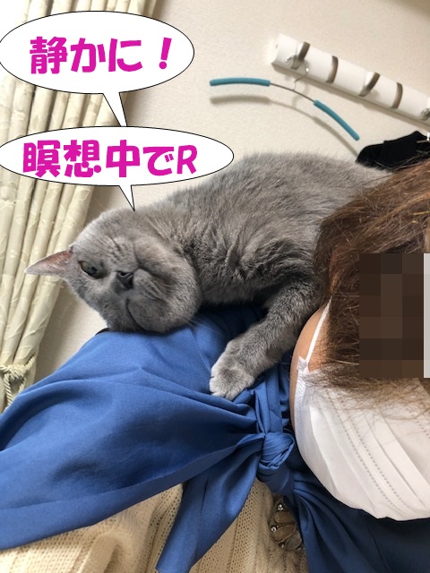 f:id:LoveRussianBlue:20201020223619j:plain