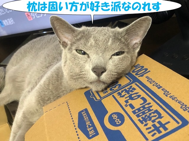 f:id:LoveRussianBlue:20201021200832j:plain