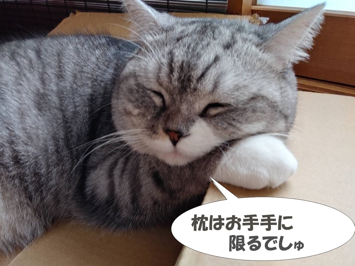 f:id:LoveRussianBlue:20201022215835j:plain
