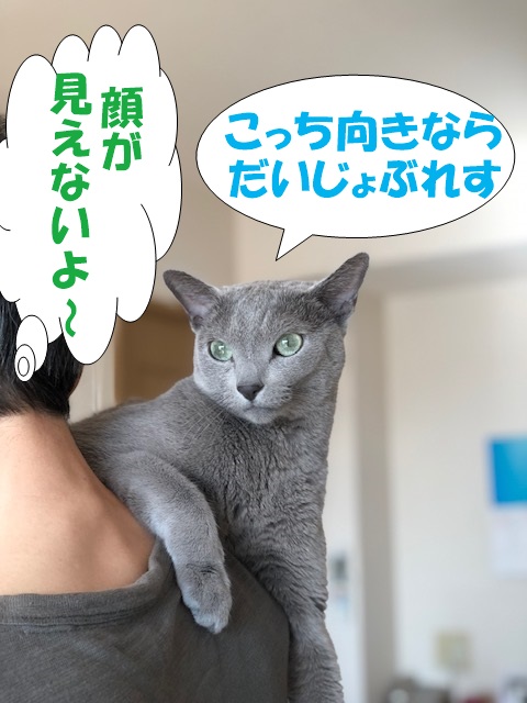 f:id:LoveRussianBlue:20201113160439j:plain