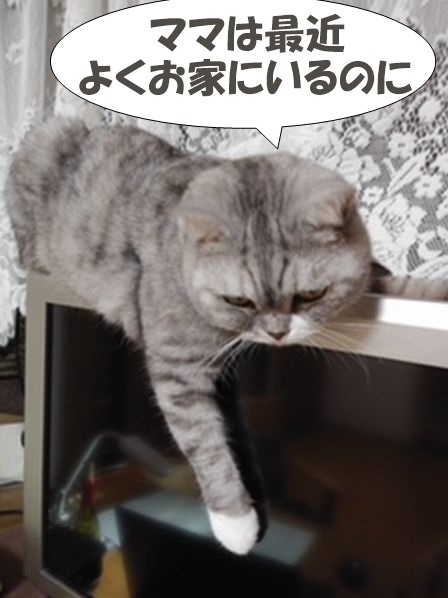 f:id:LoveRussianBlue:20201113200133j:plain