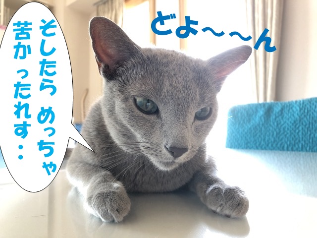 f:id:LoveRussianBlue:20210714200319j:plain