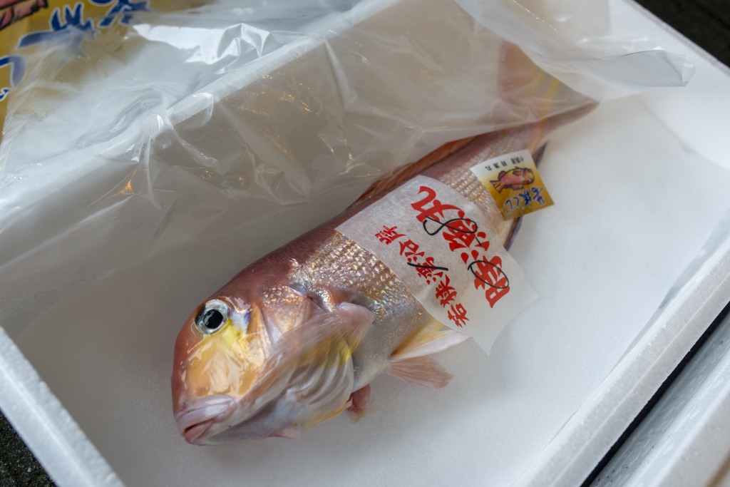 ロイヤリティフリーコシナガマグロ レシピ すべての魚の画像