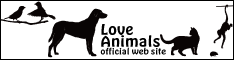 f:id:Loveanimals:20181025220246p:plain f:id:Loveanimals:20181025220246p:plain