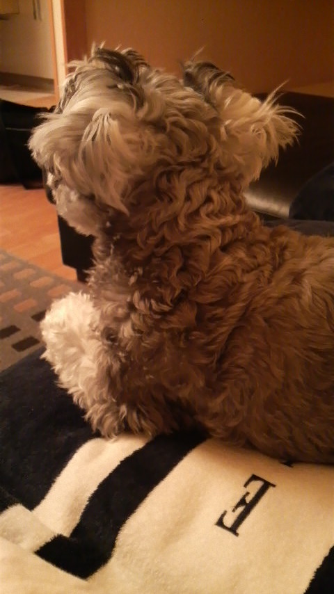 f:id:Lovechan:20111124172700j:plain