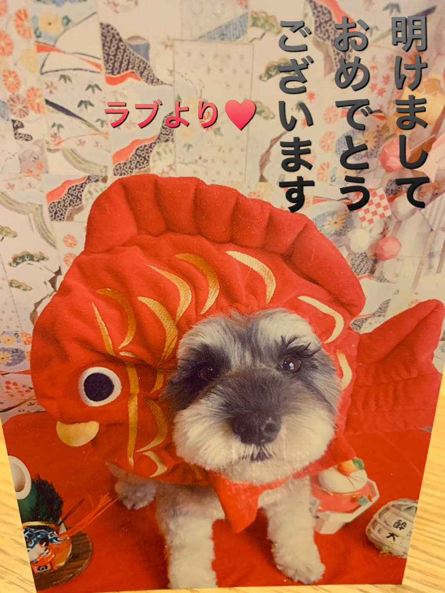 f:id:Lovechan:20200101124337j:plain f:id:Lovechan:20200101124337j:plain