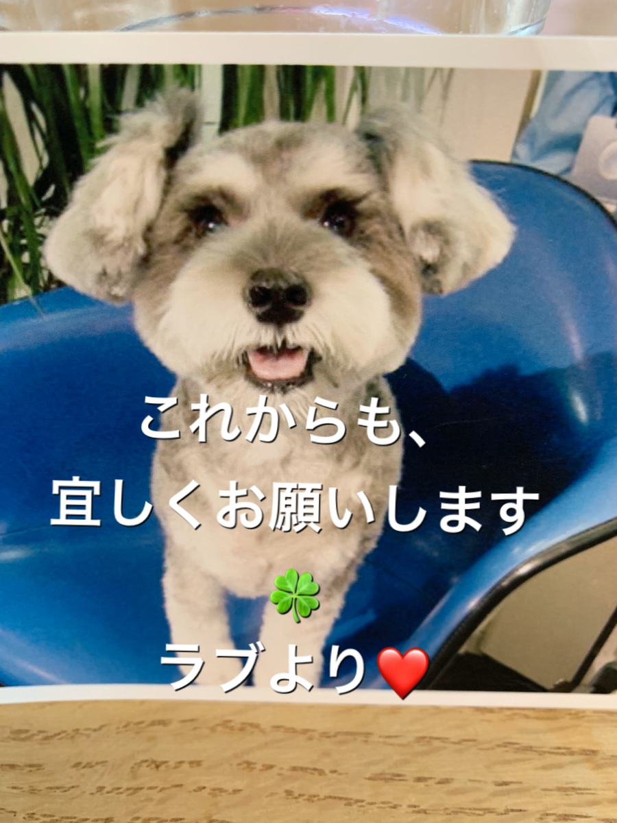 f:id:Lovechan:20200119225759j:plain