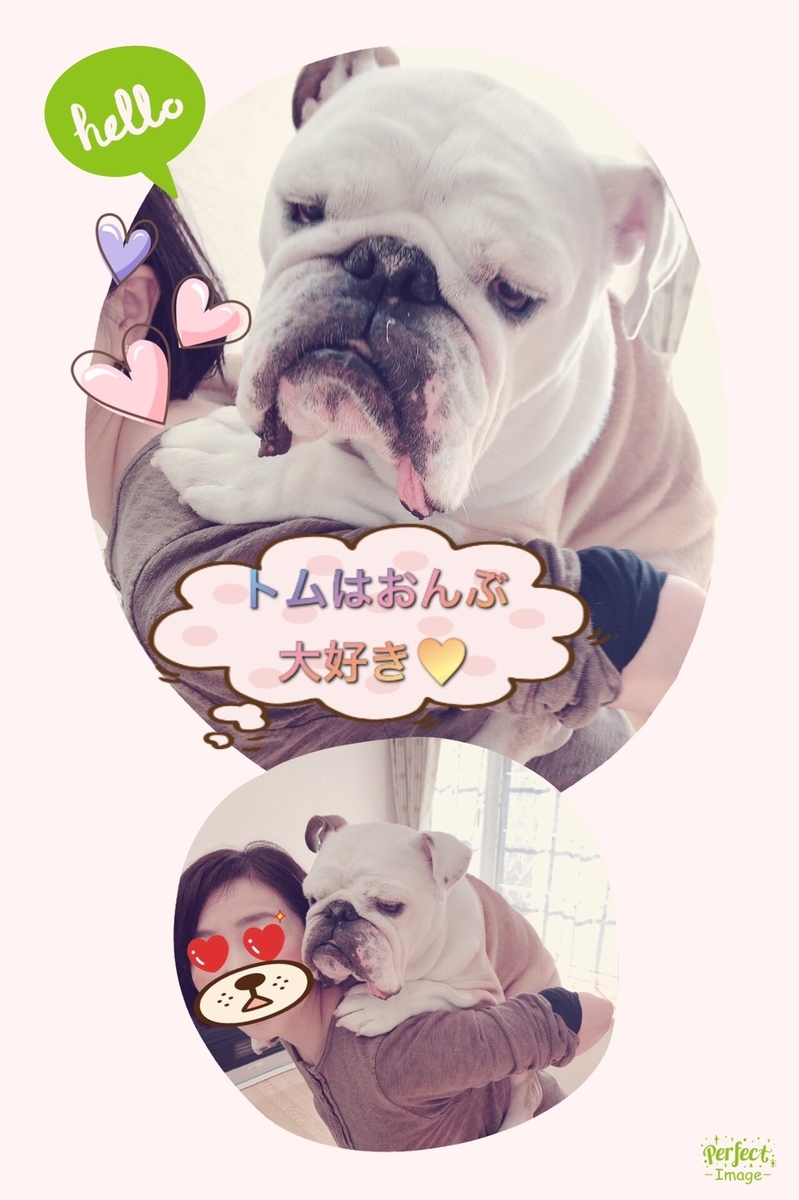 f:id:Lovechan:20200328163946j:plain f:id:Lovechan:20200328163946j:plain
