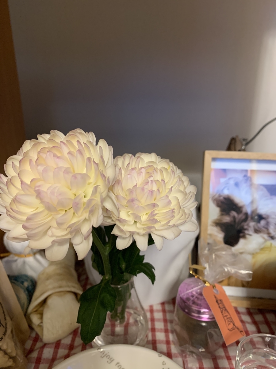 f:id:Lovechan:20200902183648j:plain f:id:Lovechan:20200902183648j:plain