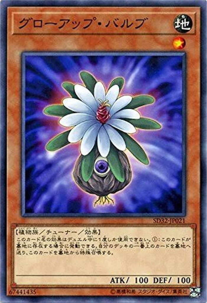 雪花未界域壊獣カグヤについて - L.P.B