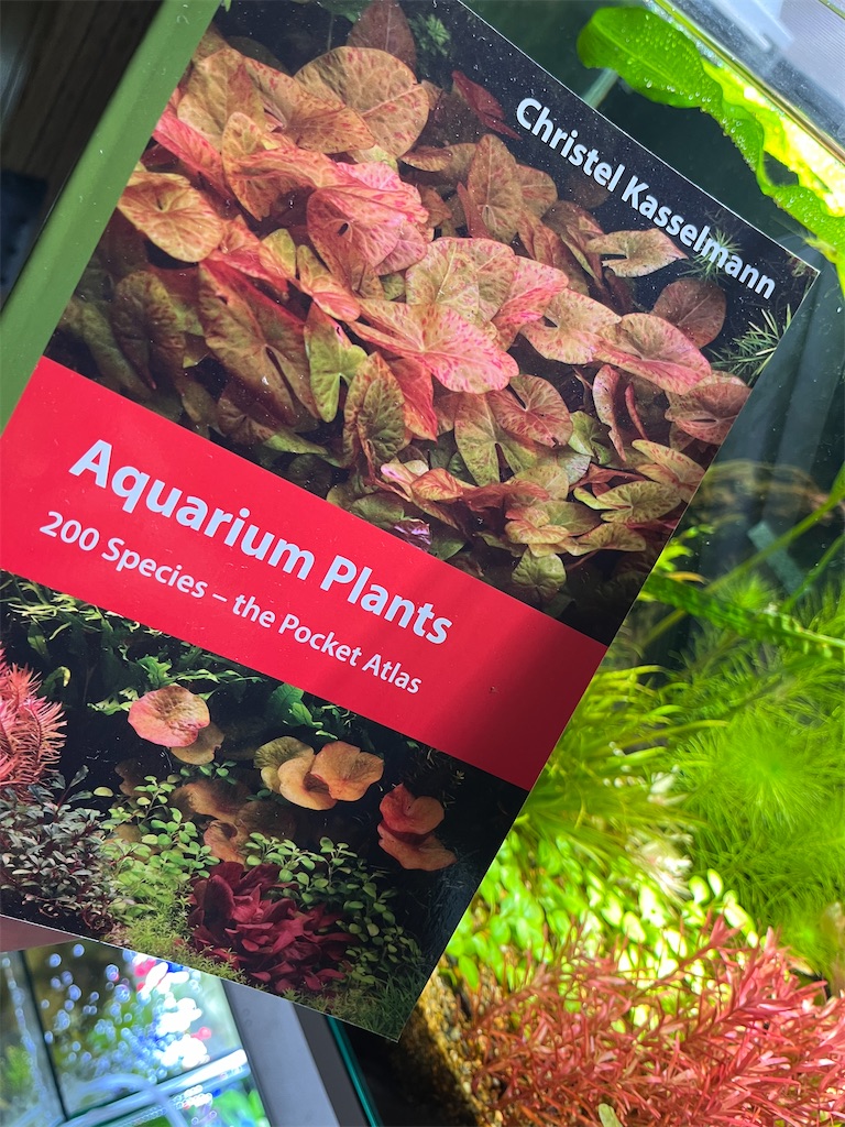 f:id:Lre_17:20240520155947j:image