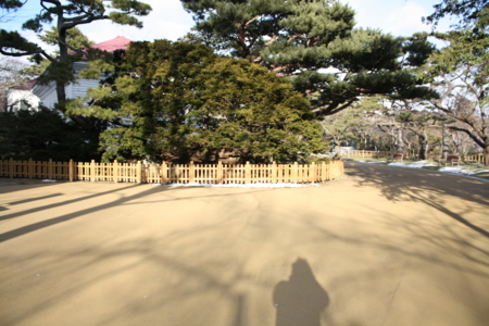 f:id:Lucieal:20090201150512j:image