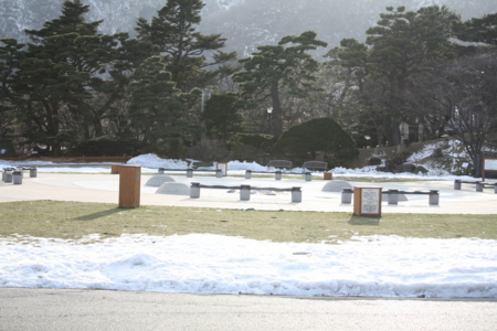 f:id:Lucieal:20090201150852j:image