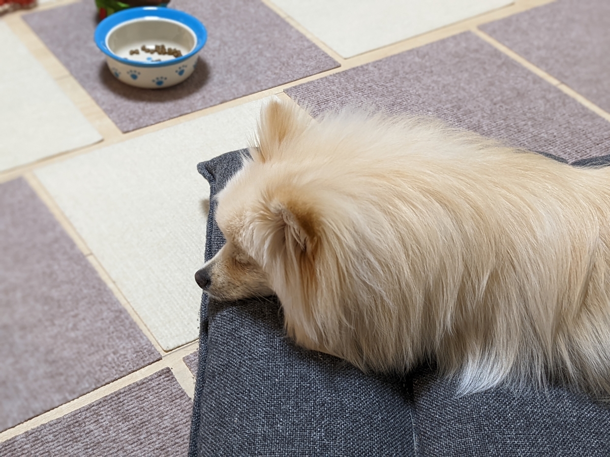 f:id:Lucky91:20220318224350j:plain