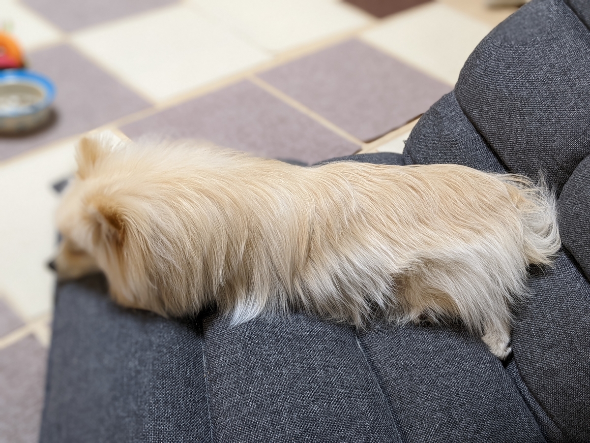 f:id:Lucky91:20220318224416j:plain