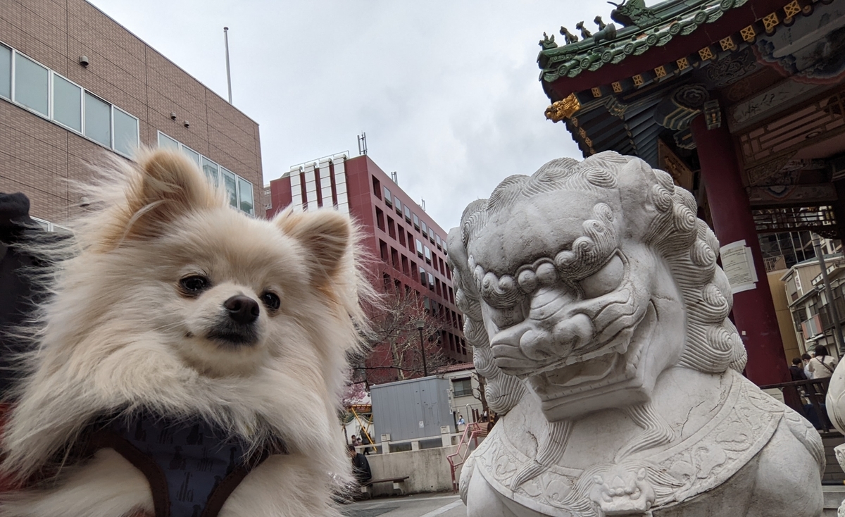 f:id:Lucky91:20220319213109j:plain