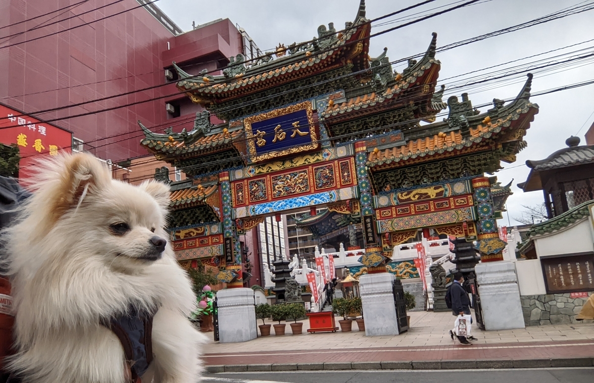 f:id:Lucky91:20220319213125j:plain