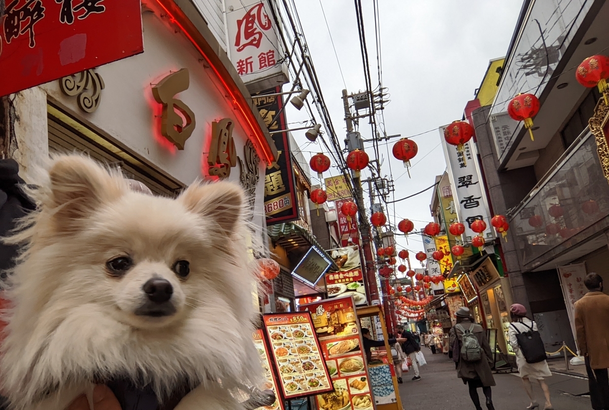 f:id:Lucky91:20220319213202j:plain