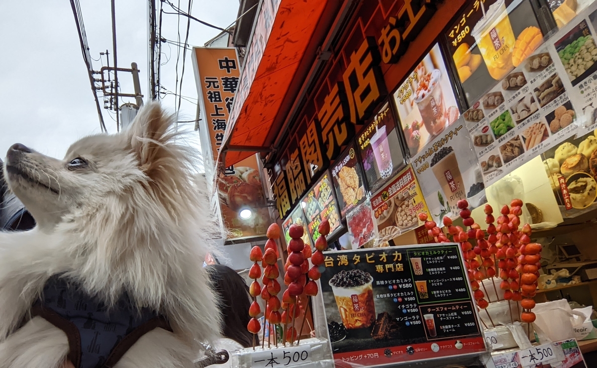 f:id:Lucky91:20220319213223j:plain