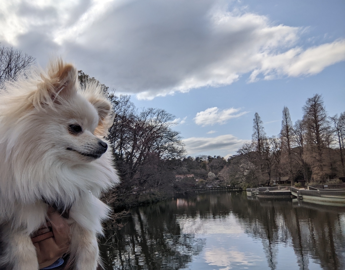 f:id:Lucky91:20220323231648j:plain