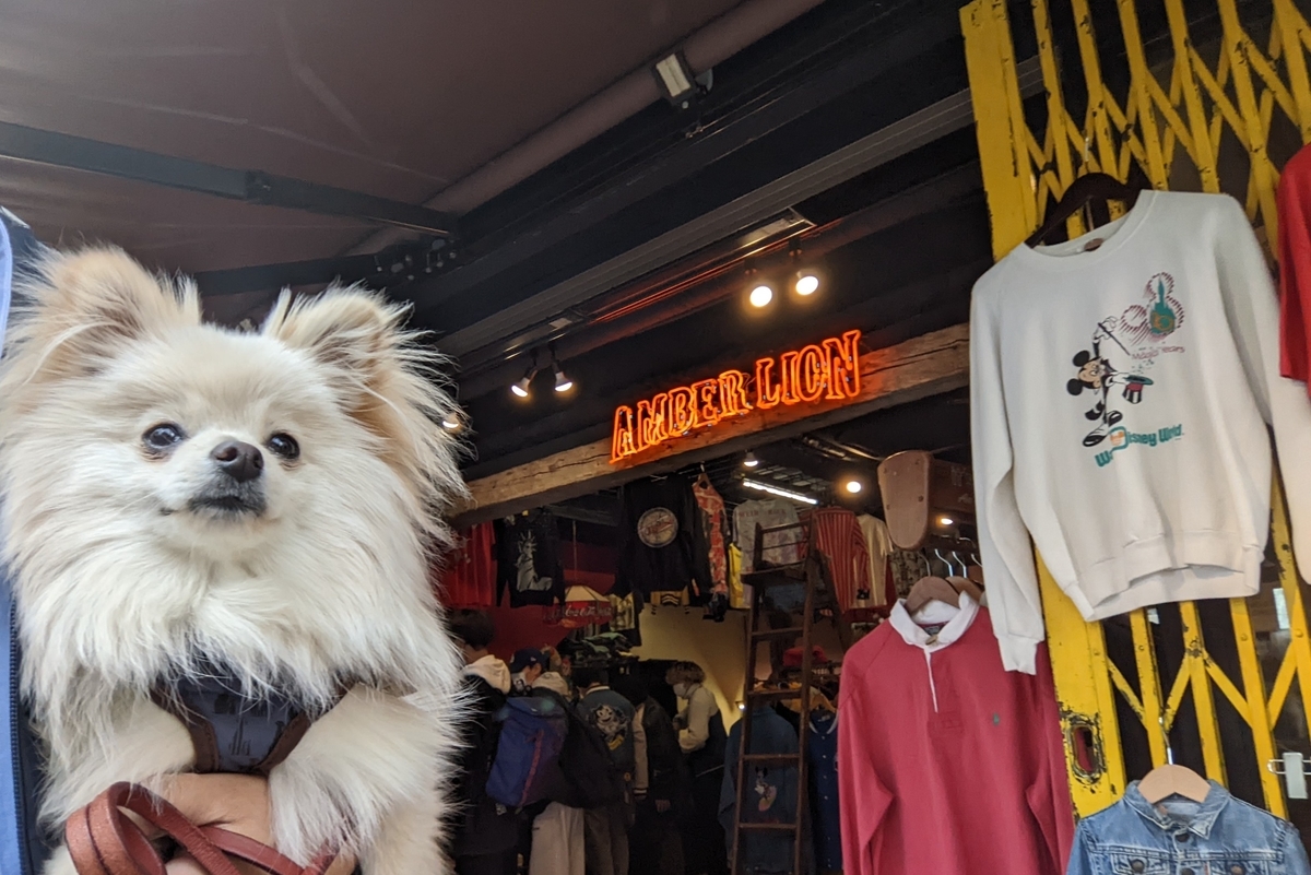 f:id:Lucky91:20220323231732j:plain